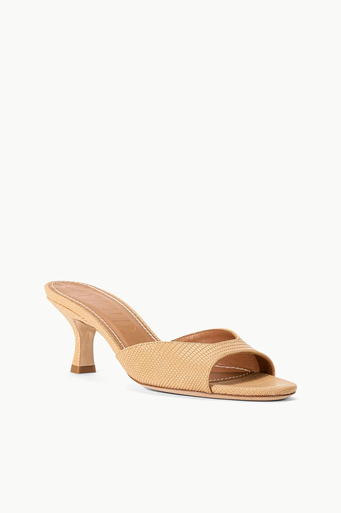 BRIGITTE MULE | PORCINI