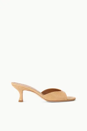 BRIGITTE MULE | PORCINI