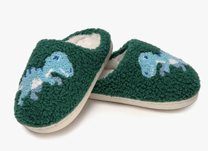 Kids Slipper -Dino -Big Kids